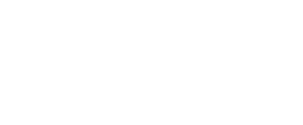 paramount exteriors white logo